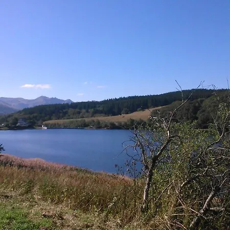Iris, Saint Antoine, Orcival, Entre Sancy Et Volcans D'auvergne Appartement Orcival